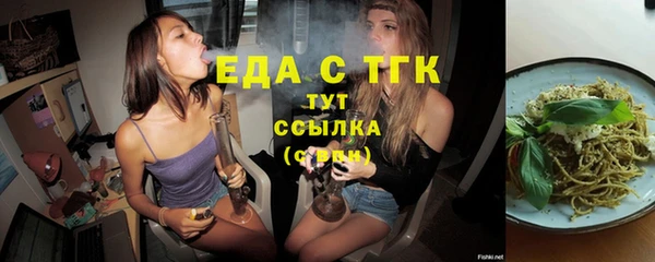 спиды Бородино