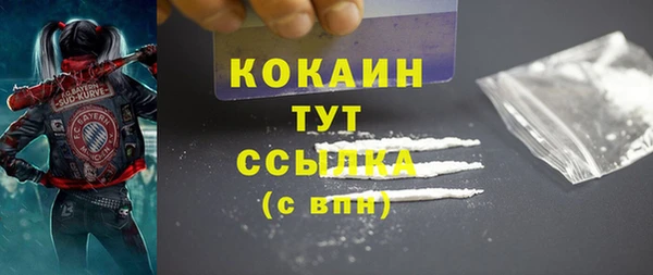 спиды Бородино