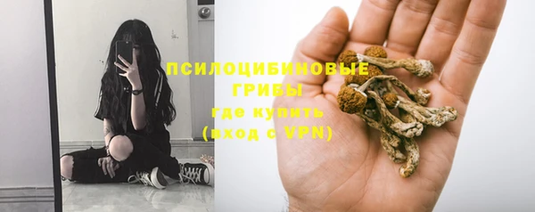 спиды Бородино