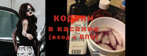 спиды Бородино