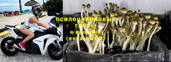 спиды Бородино