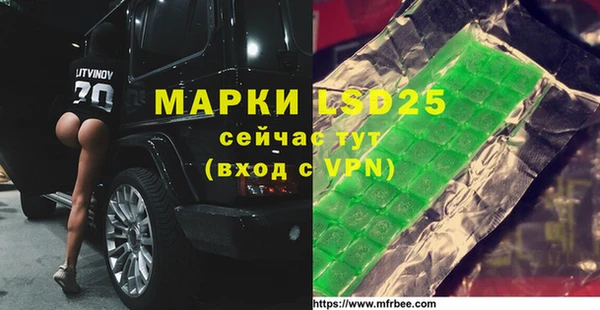 ГАЛЛЮЦИНОГЕННЫЕ ГРИБЫ Бронницы