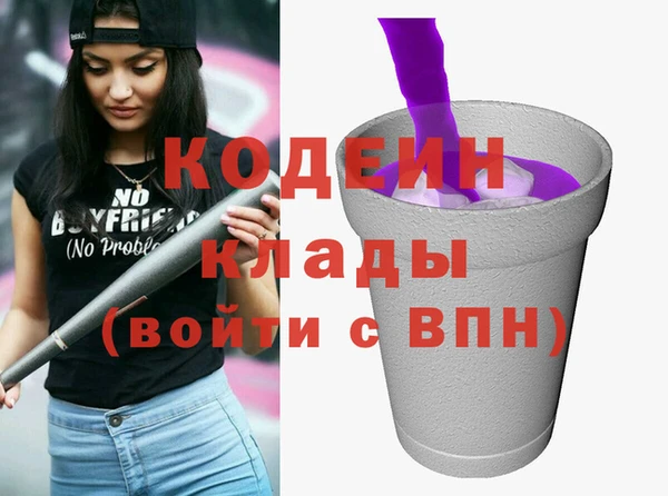 спиды Бородино