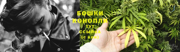 спиды Бородино
