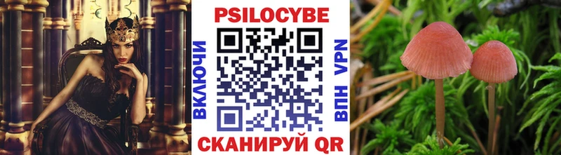 продажа наркотиков  Юрга  Галлюциногенные грибы Cubensis 